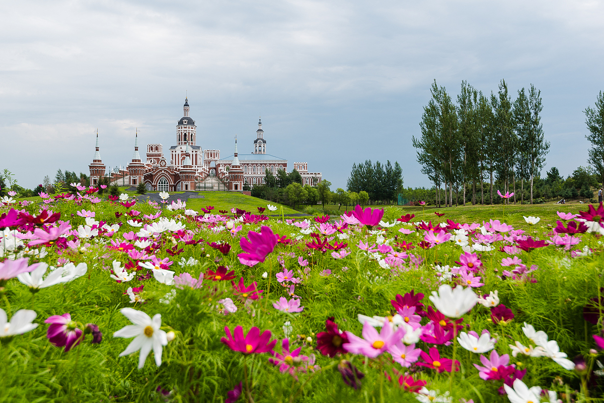 贵阳中专学校读什么专业好用发