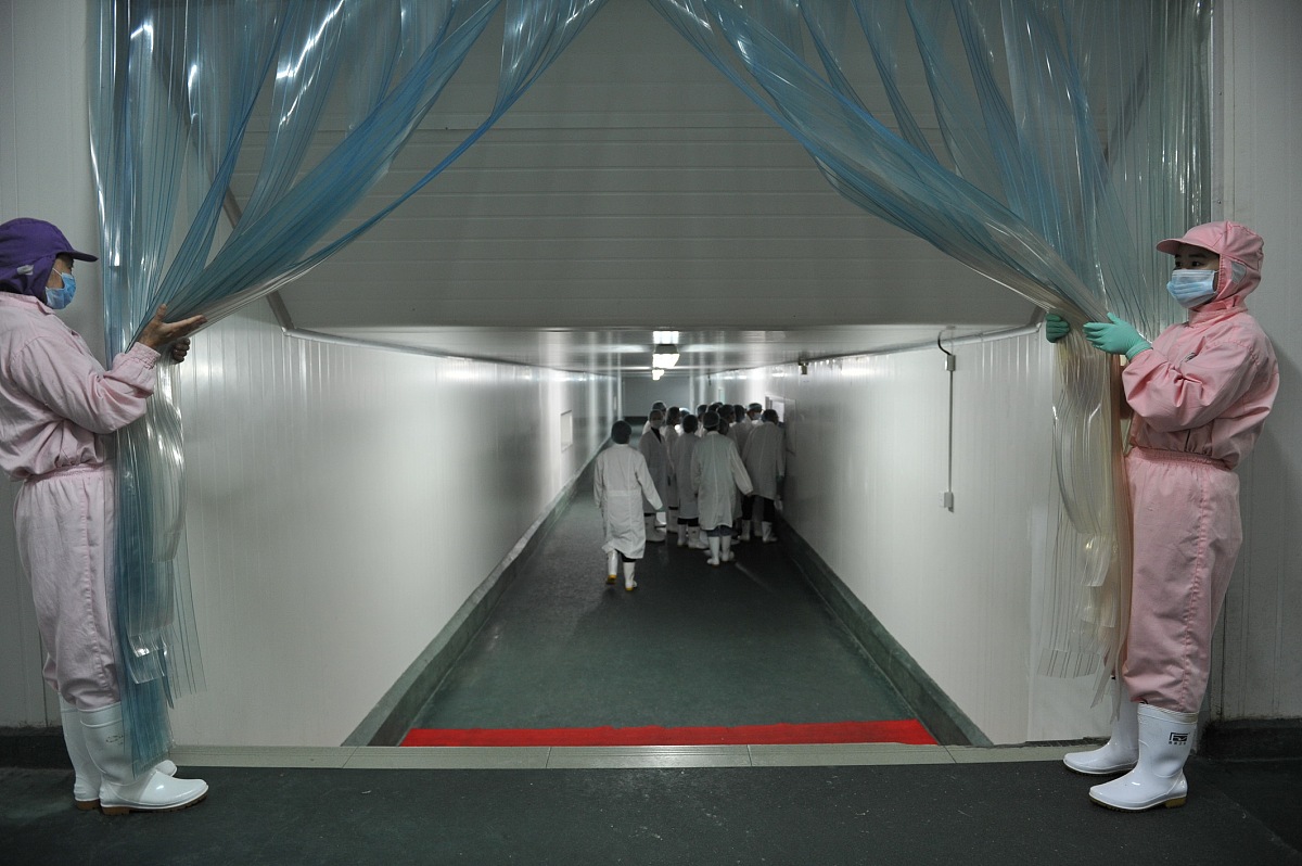 深圳求助热线汇总：快速找到你需要帮助的平台