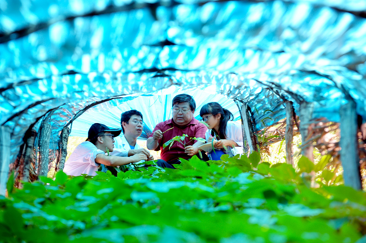 农业品种繁育述职报告：培育优质品种，助力农业发展