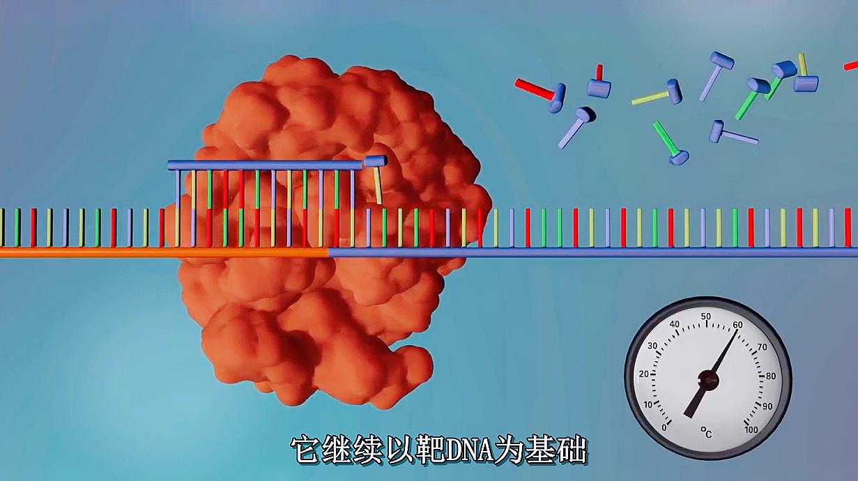 [图]5分钟看懂DNA测序的全过程 这么小的DNA是如何切割的