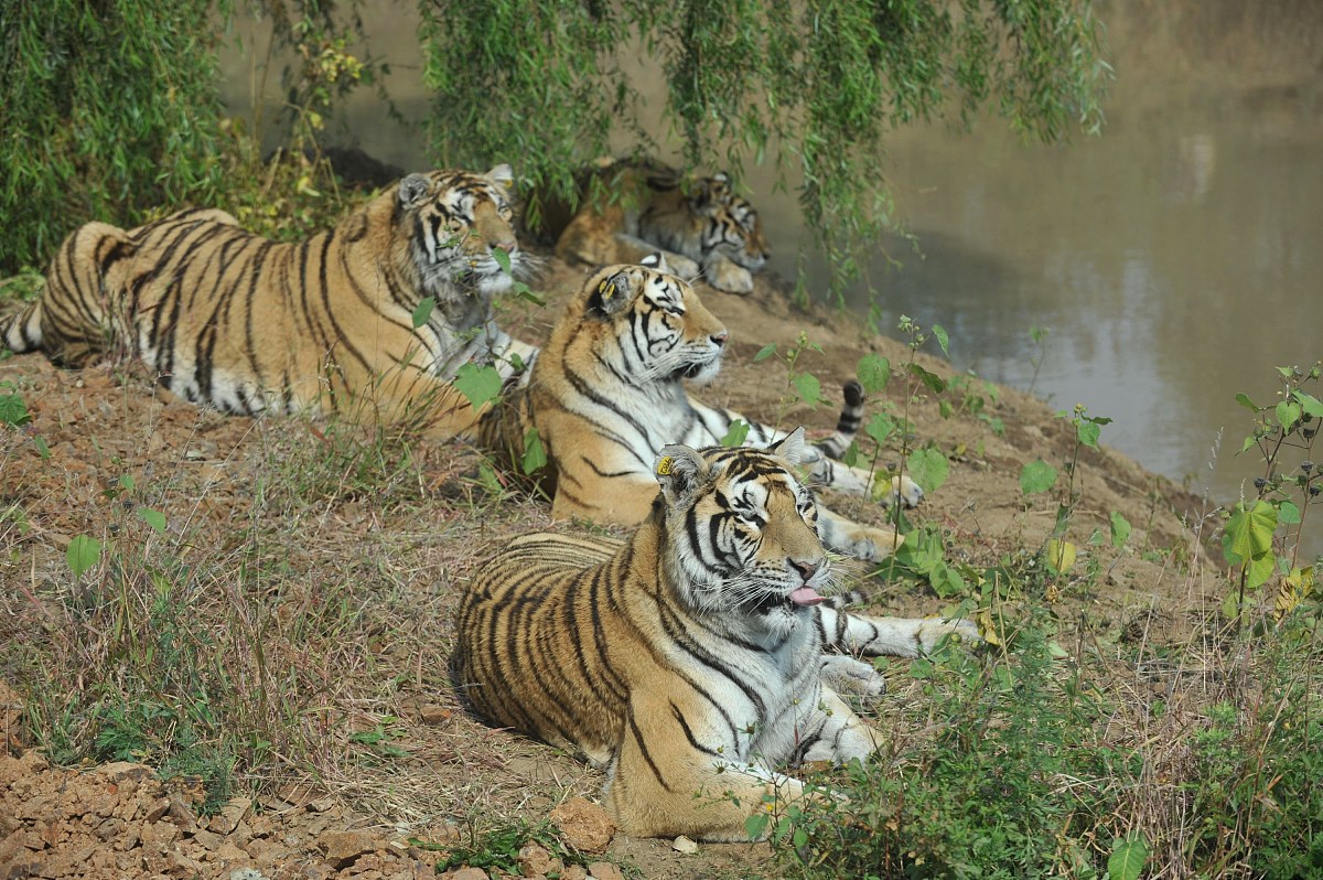 肇庆市三只松鼠仓库管理流程存在问题、员工管理存在问题、仓库设备管理存问题研究的研究结论