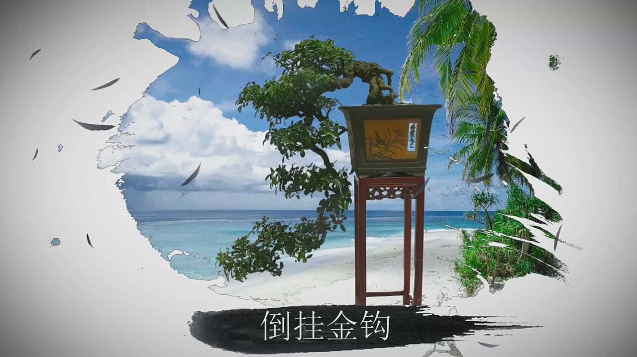 盆景欣赏:悬崖式盆景合集,做造型再也不用发愁了,赶紧收藏