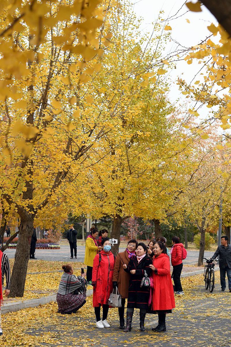 沈阳农业大学森林保护专业怎么样？优势、劣势及就业前景分析