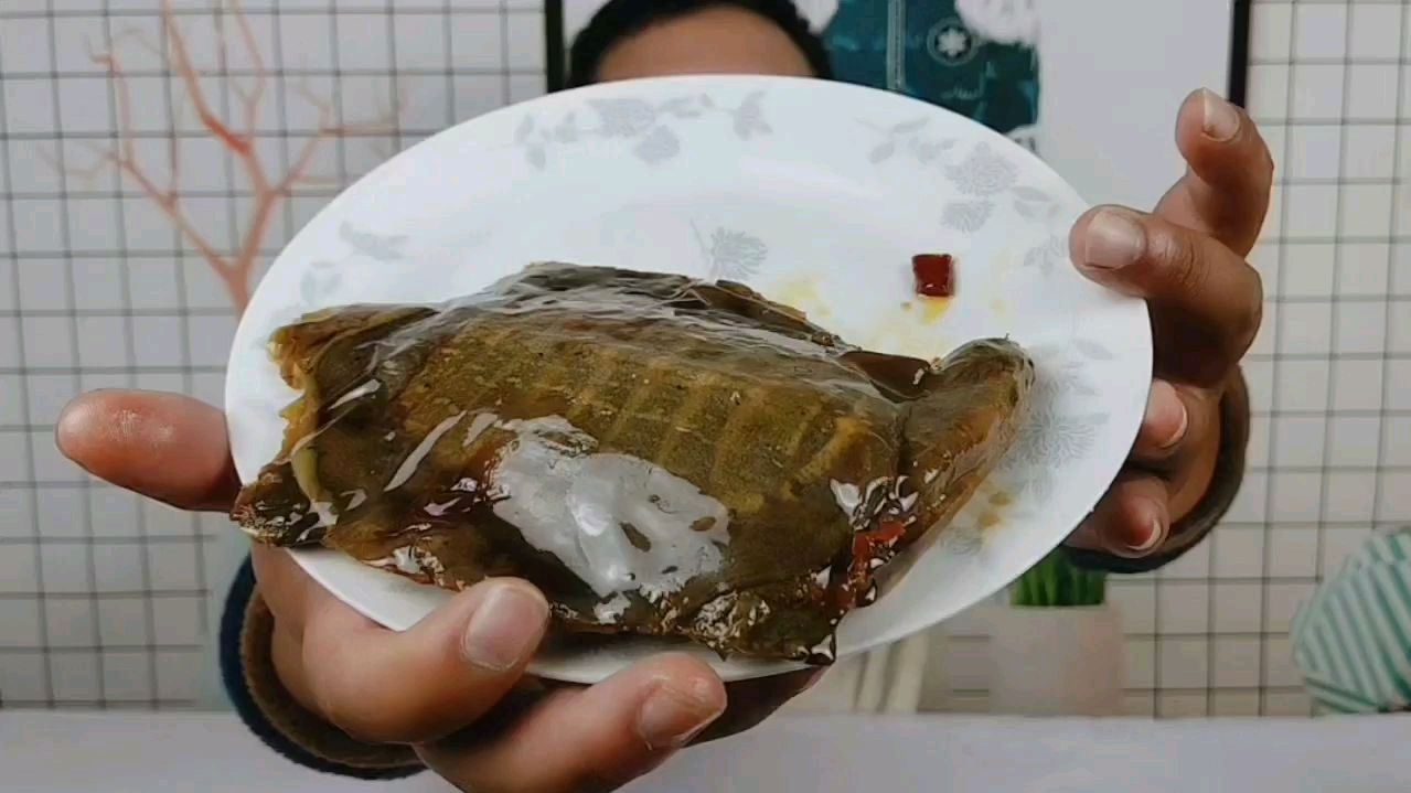 试吃具有“美食五味肉”之称的甲鱼,半斤的甲鱼骨头怎么这么多