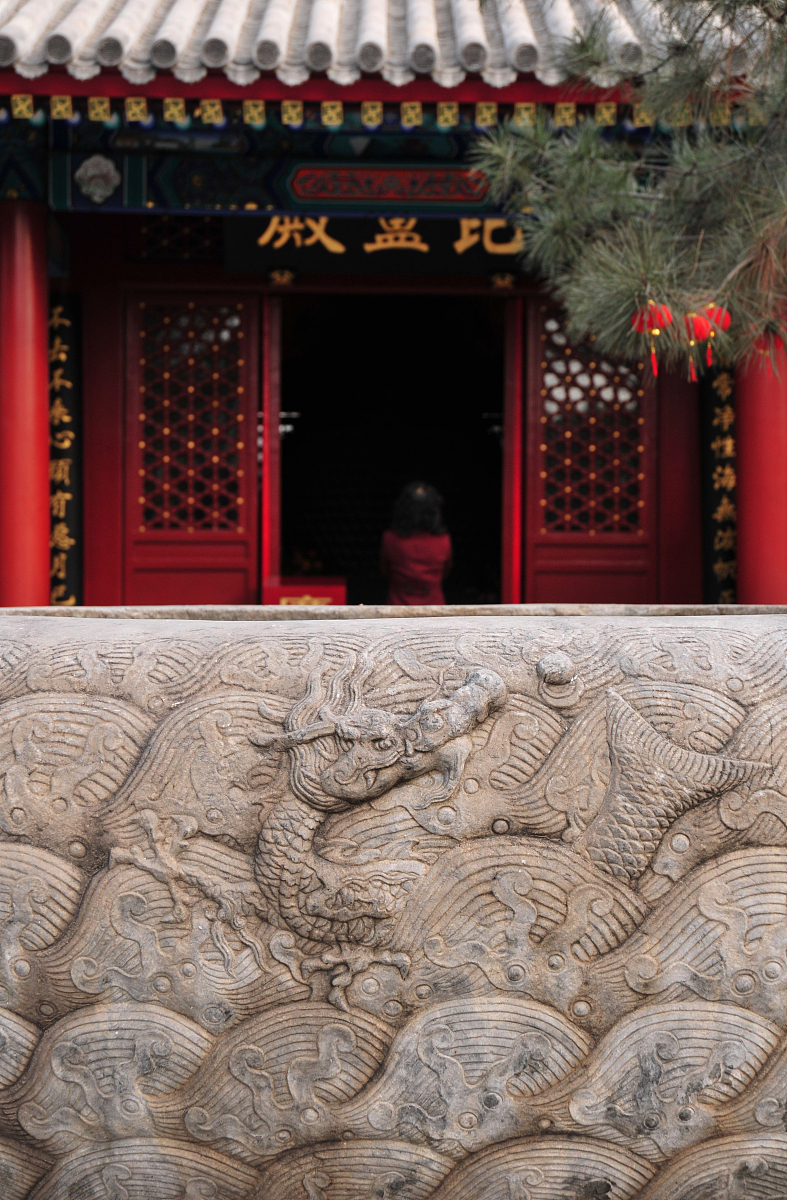 湖南高速铁路职业技术学院五年制大专有药剂专业吗