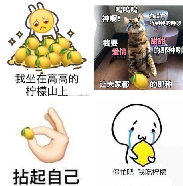 恰柠檬图片_纵览新闻