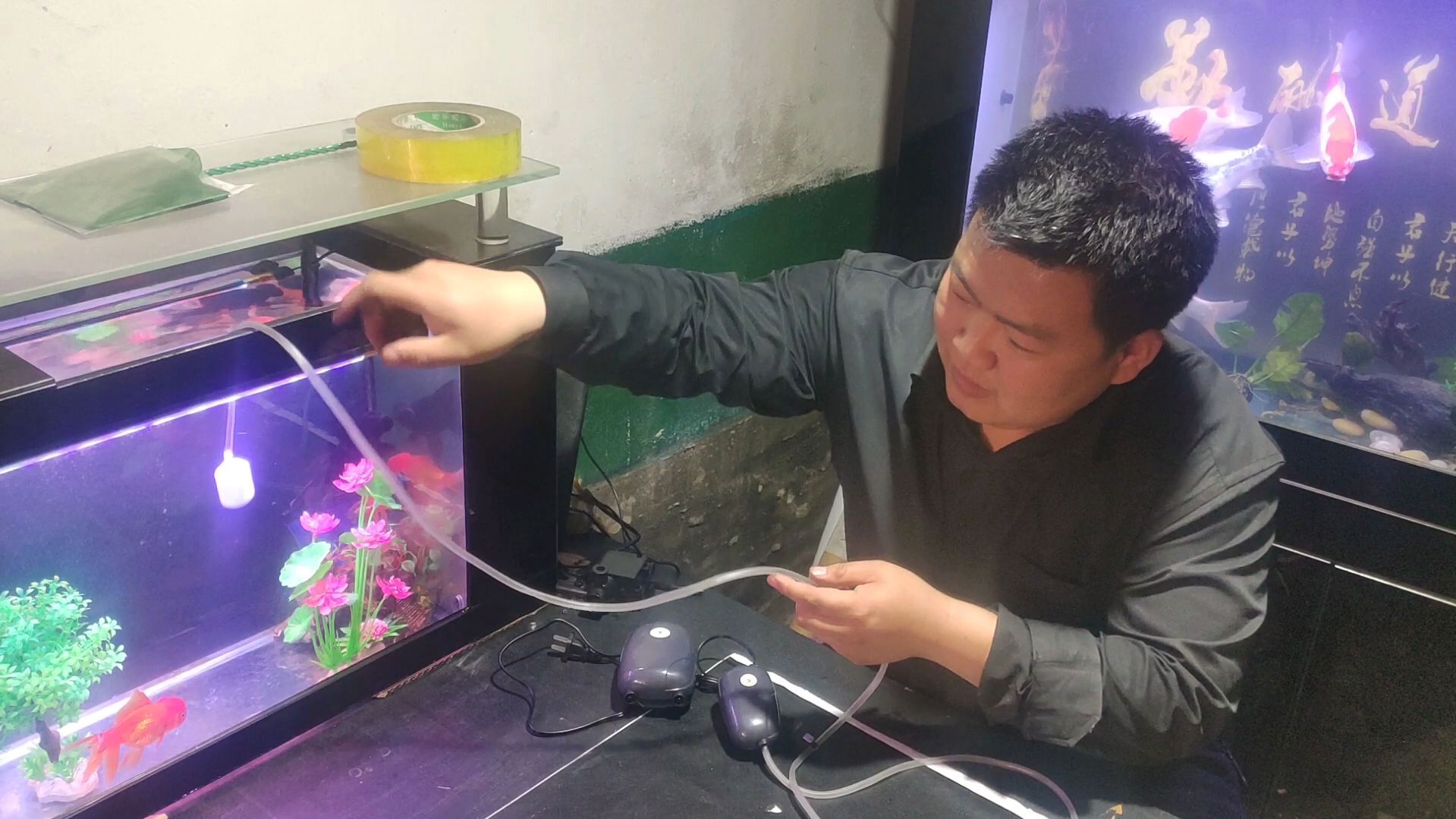 氧气泵你会使用吗?