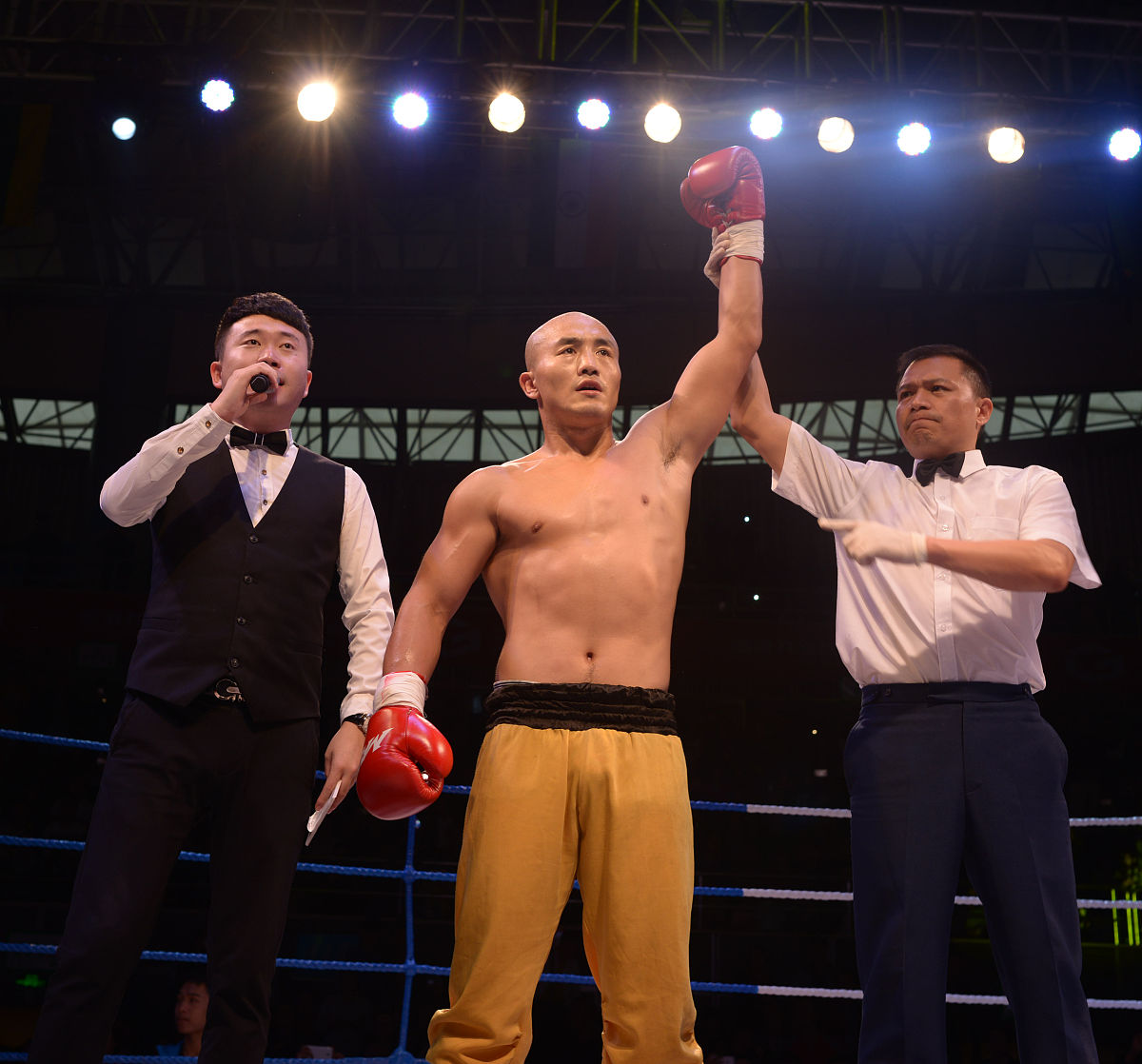 徐龙一步：中国武术中的珍贵绝技