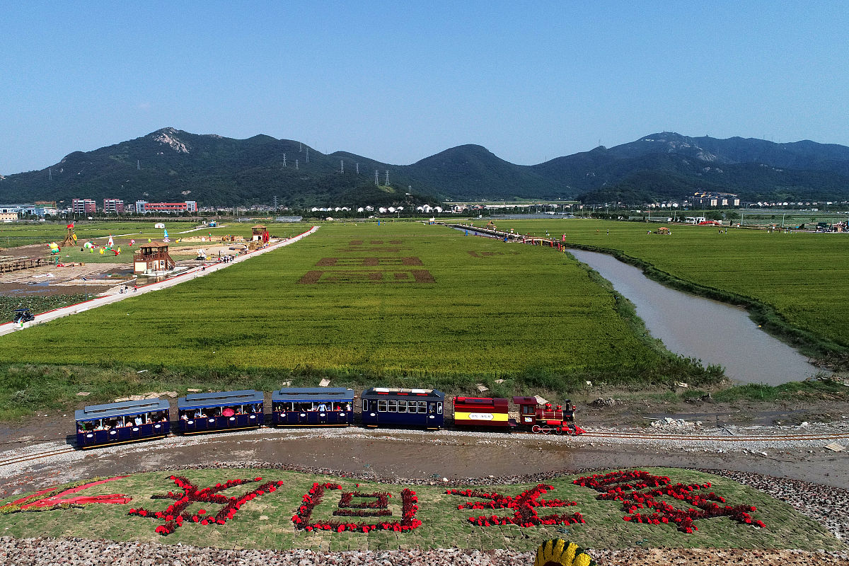 田园综合体建设理论研究：案例分析与建议