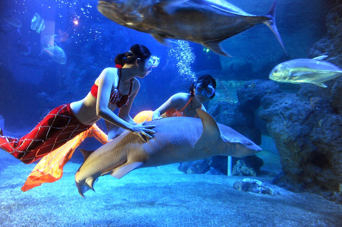 大连海洋学校办学条件如何？用