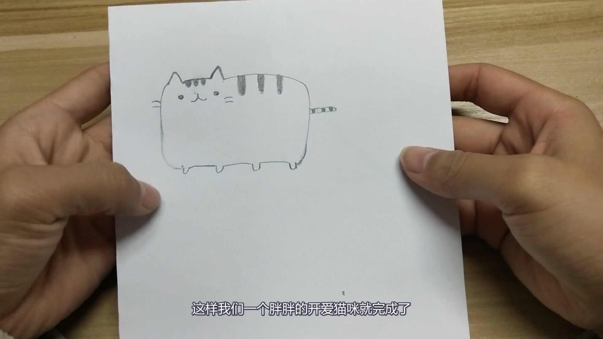 简笔画:非常简单的猫咪画法,胖胖的蠢蠢的真可爱