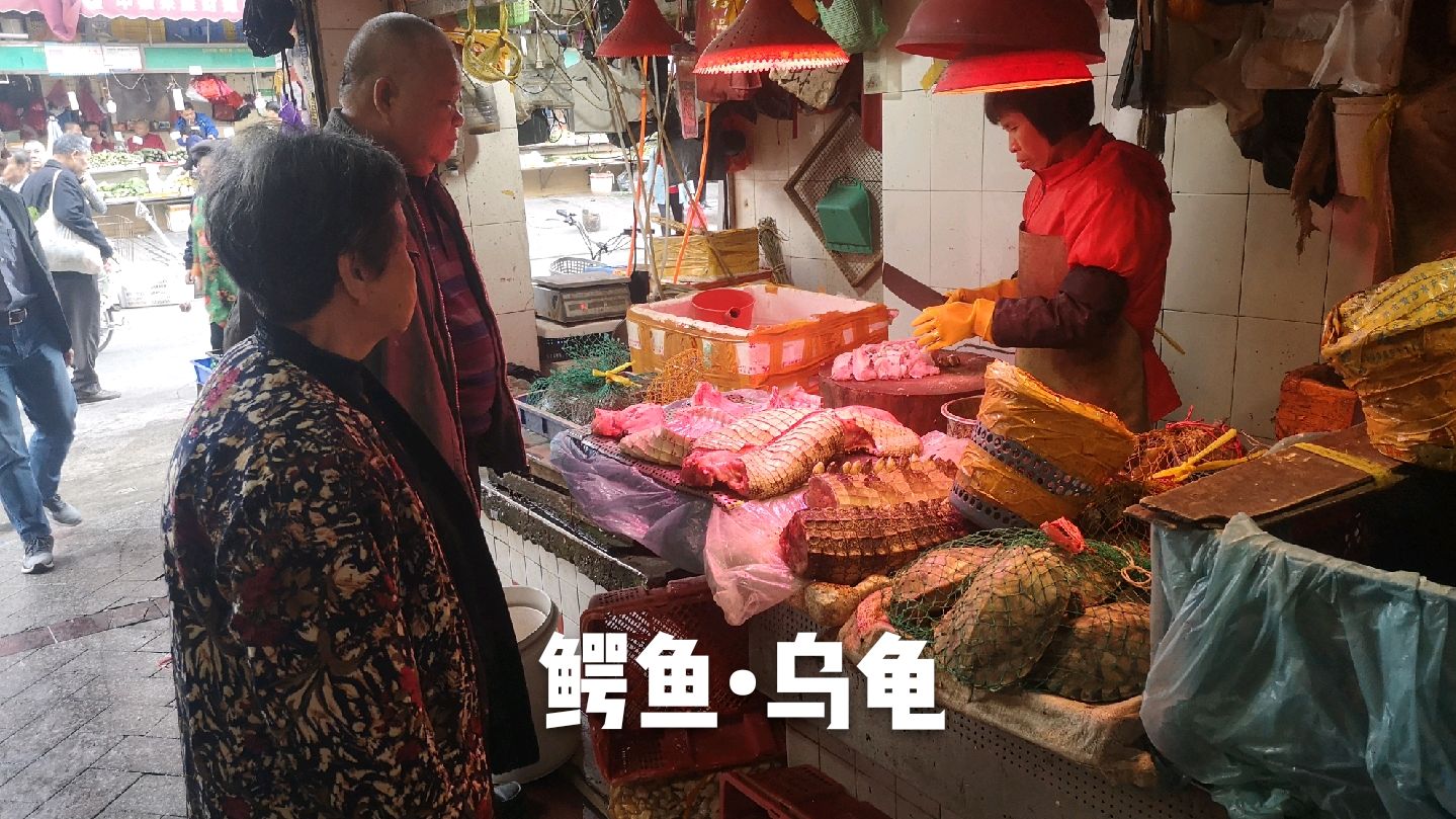 实拍广州最便宜的农贸市场,海鲜比批发价便宜,鳄鱼肉40元一斤
