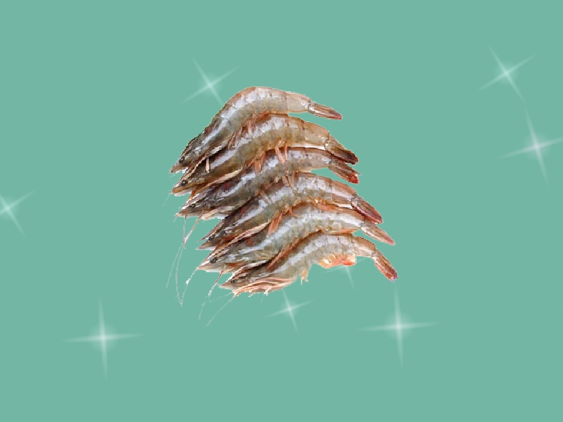 中国毛虾:是樱虾科毛虾属的虾类