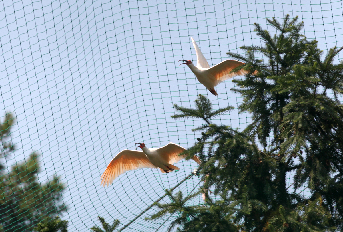 河南林业职业学院电子商务专业怎么样？优势分析