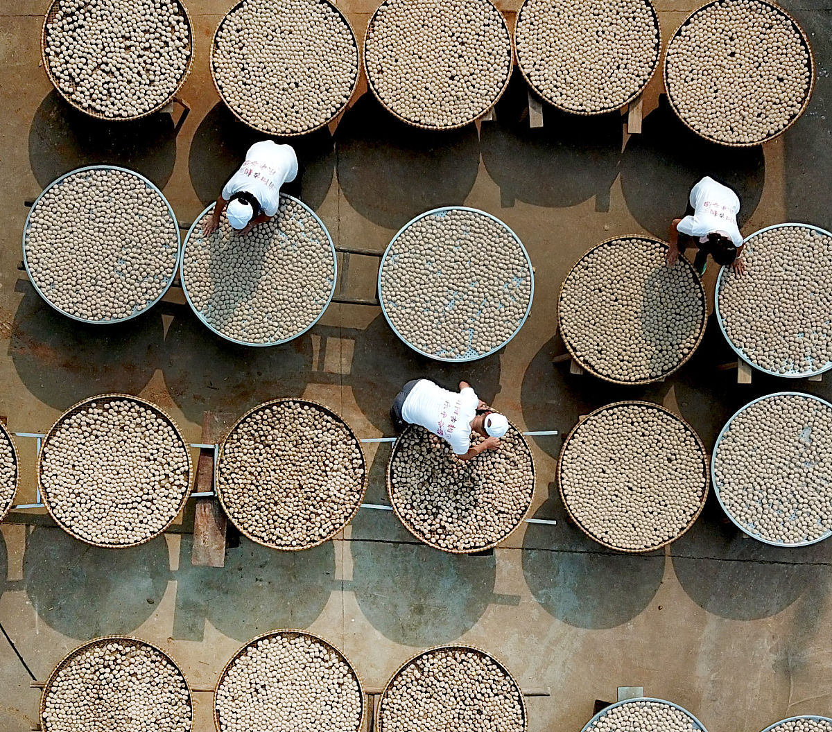请写一篇关于非遗保护理论的文献综述角色理论的缺陷