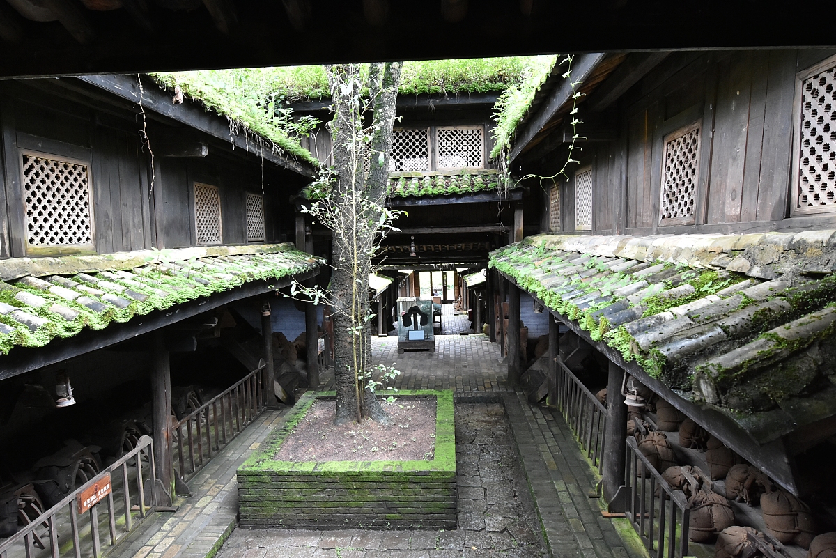 西双版纳州卫生学校官方网站_网址