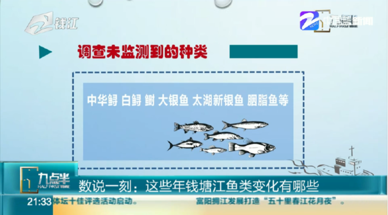 这些年钱塘江鱼类变化有哪些 我来告诉你