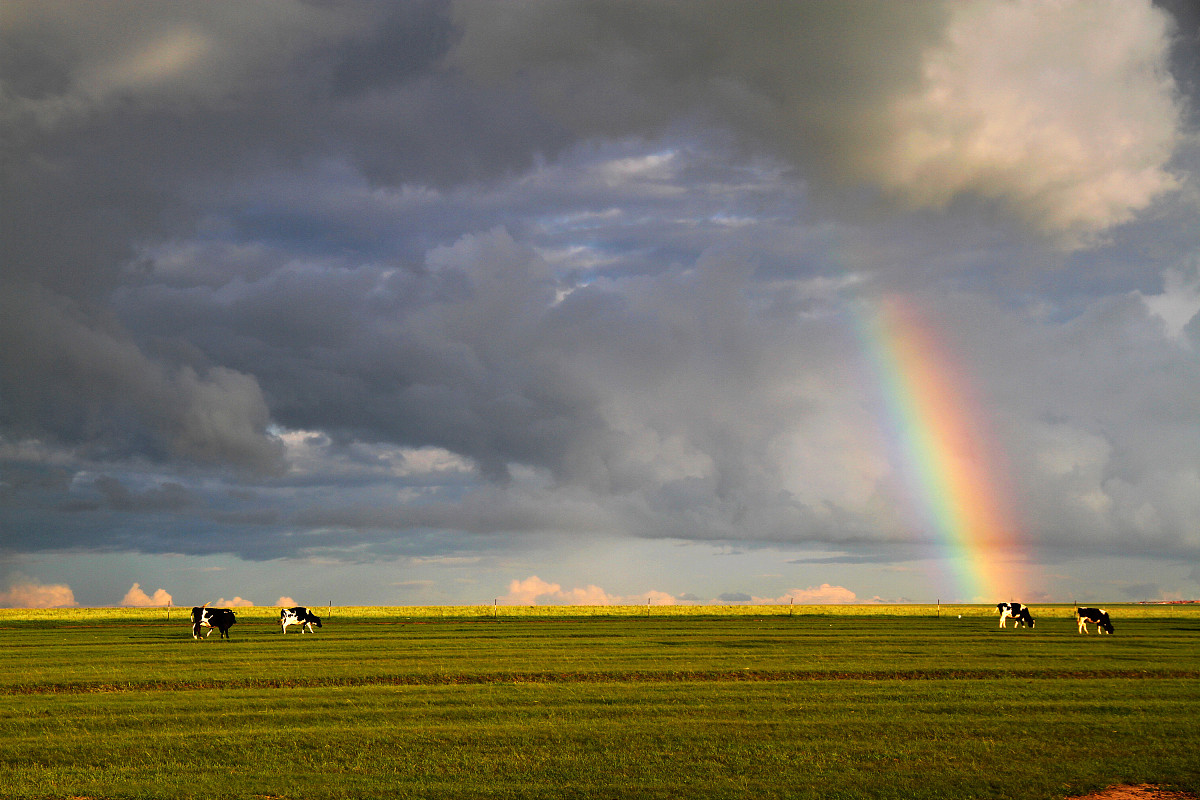 内蒙古十大职业高中排名一览表 - 培养优质技术人才
