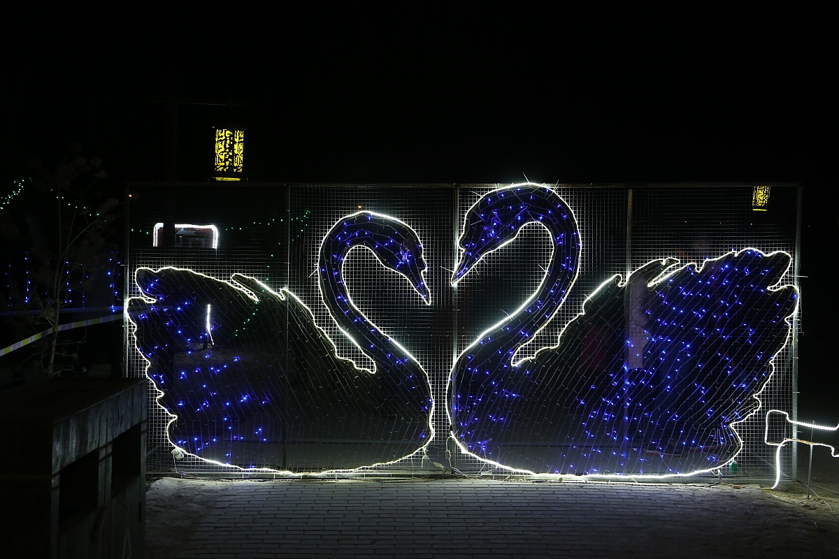 银川卫校2022年招生简章 - 报名条件、流程、专业及奖励政策