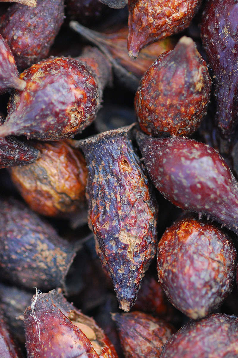 改写下列文章：肉苁蓉泡酒效果好不好因人而异不可一概而论遵医嘱用药效果才是最好的。肉苁蓉中药名为列当科肉苁蓉属植物肉苁蓉带鳞叶的肉质茎具有补肾助阳润肠通便的功效；主治肾阳亏虚精血不足性功能勃起障碍早泄宫冷不育腰膝酸痛痿软无力肠燥津枯便秘。该药物泡酒一般也可以发挥一定的疗效其泡酒效果好不好应根据患者的病情决定不可一概而论具体应遵医嘱。应用该药物可能会出现反酸、胃胀、腹痛、腹泻皮肤瘙痒、皮疹、荨麻疹等不