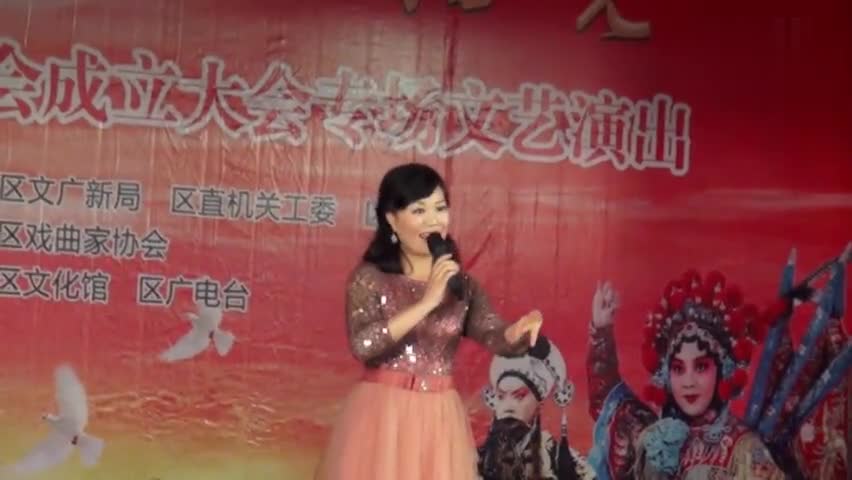 [图]电视剧《严凤英》主题曲:山野的风