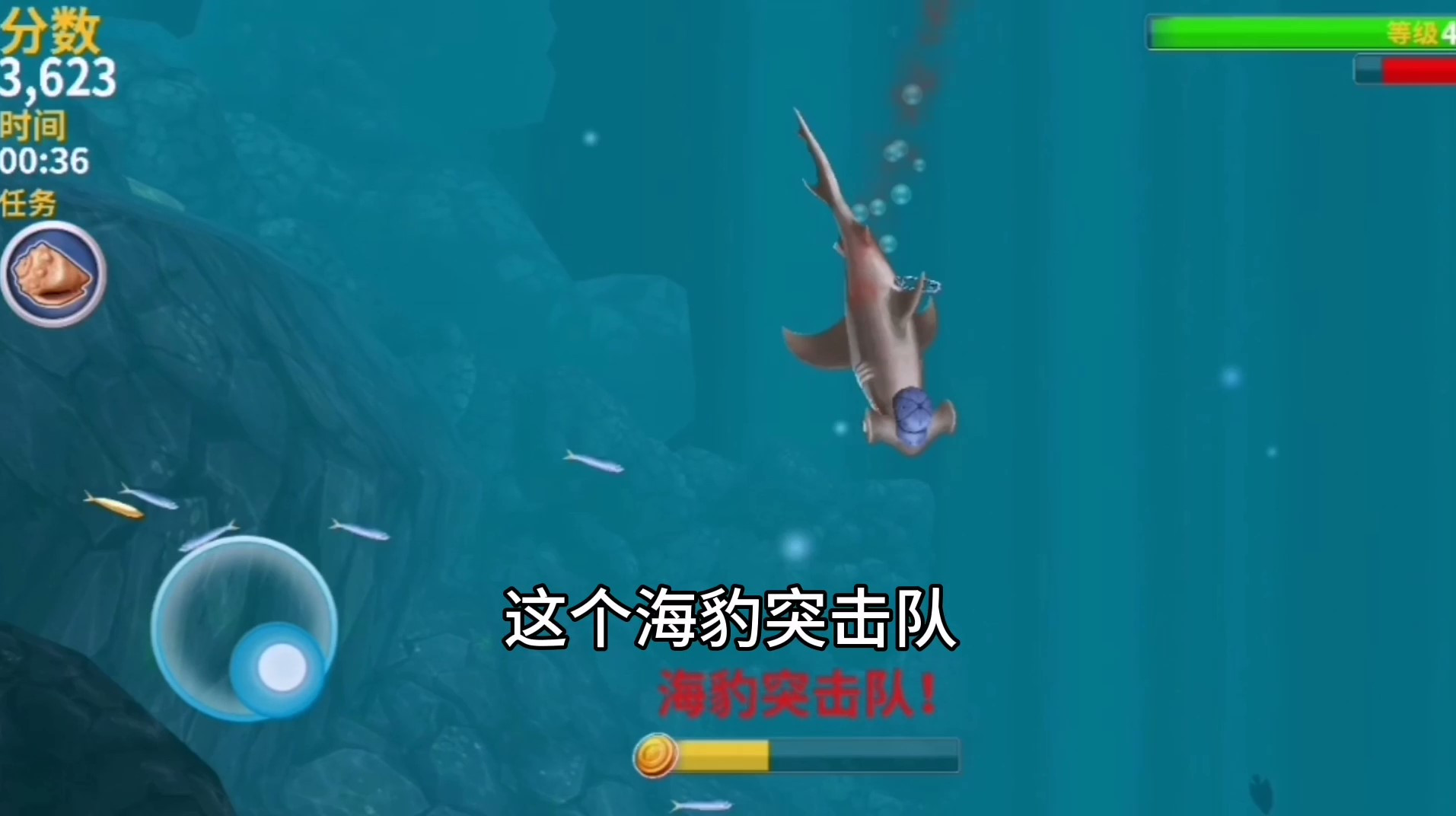 振南解说:海豹突击队多次招惹锤头鲨,是作死,还是真的皮?