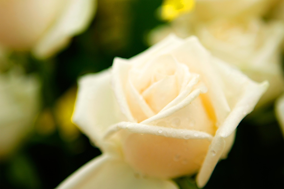 云南省轻工业学校2023年职业中专招生简章