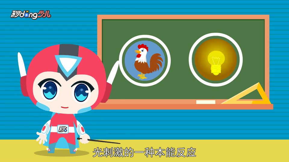 为什么雄鸡会报晓?