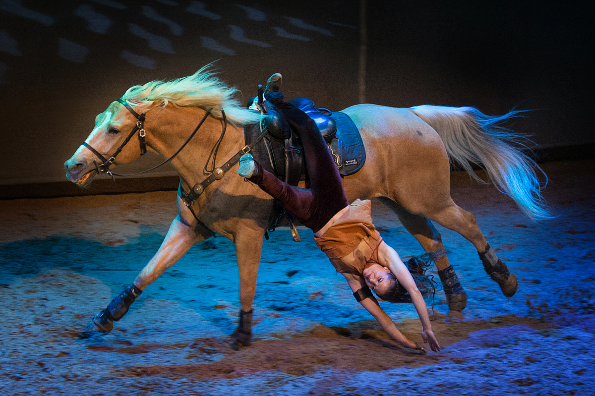 2016年04月28日,北京,在朝阳公园迎来加拿大世界顶级名秀《cavalia-舞
