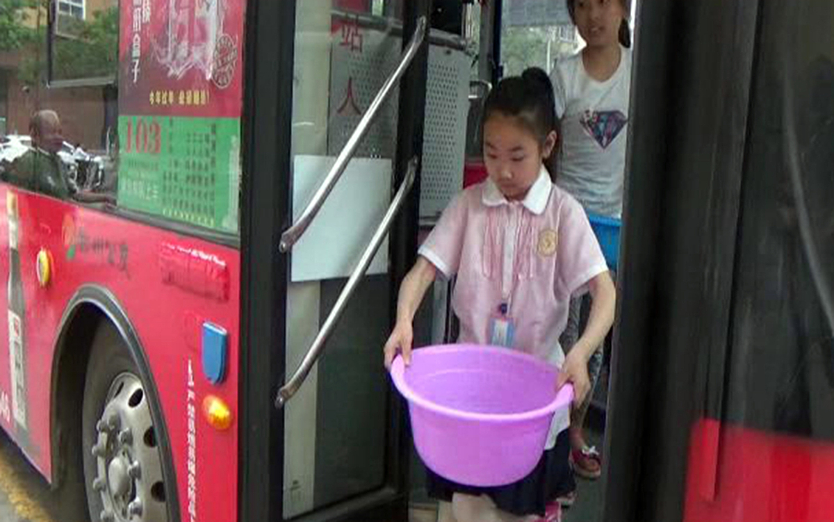 葵花今天放学后去做什么？妈妈来接她，可能去办事再写作业