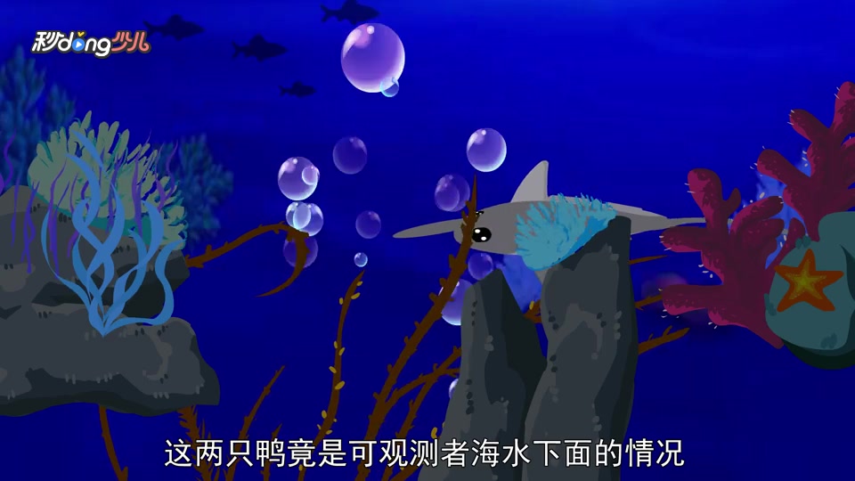 长吻银鲛神奇的“四眼”