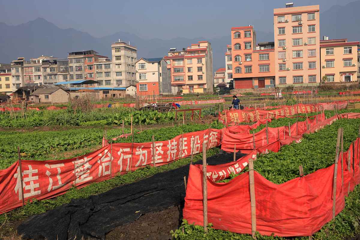 双溪拉亚村的农村现代化建设是如何依靠政府的帮助的
