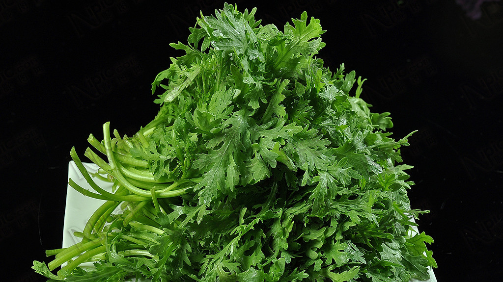 古时只有皇帝能享受的野菜 如今已上老百姓的餐桌