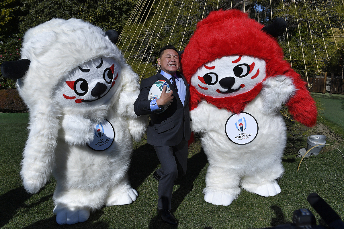 冰墩墩雪容融精神感悟：二年级作文300字