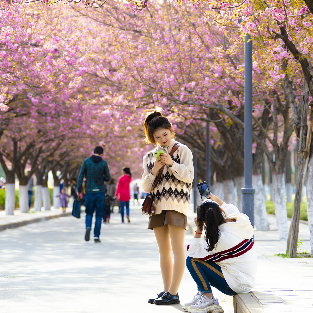 西北农林科技大学车辆工程专业就业方向：从汽车制造到政府机构