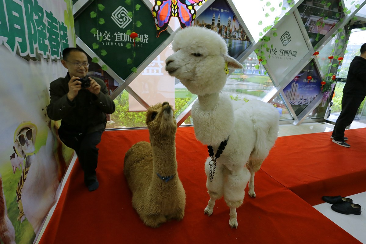 湖北现代科技学校市场营销专业就业前景分析