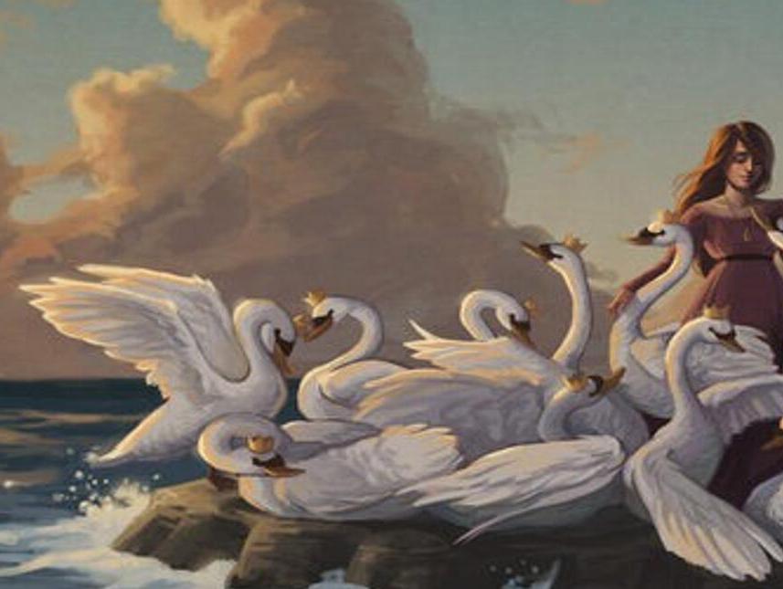 一分钟了解野天鹅