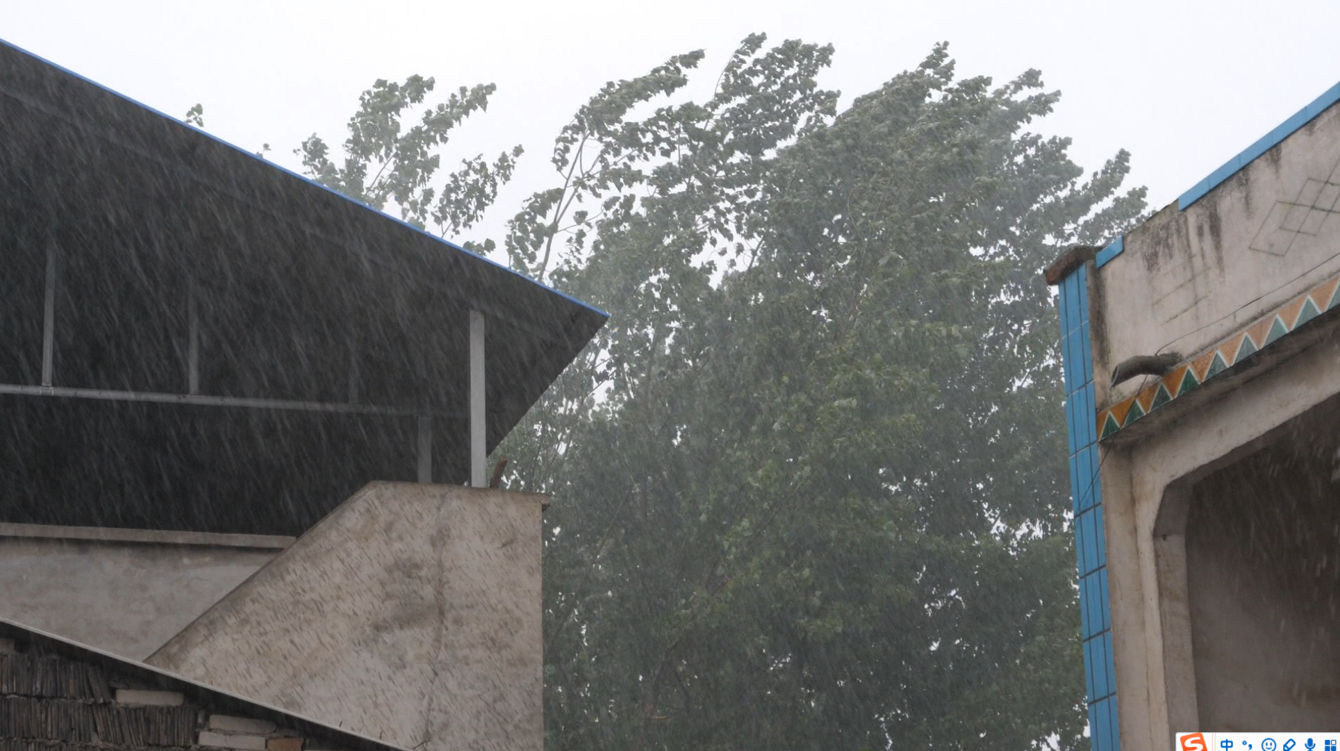 [图]河南南阳:今天下午突降暴雨,雨真大,农民伯伯笑开了花