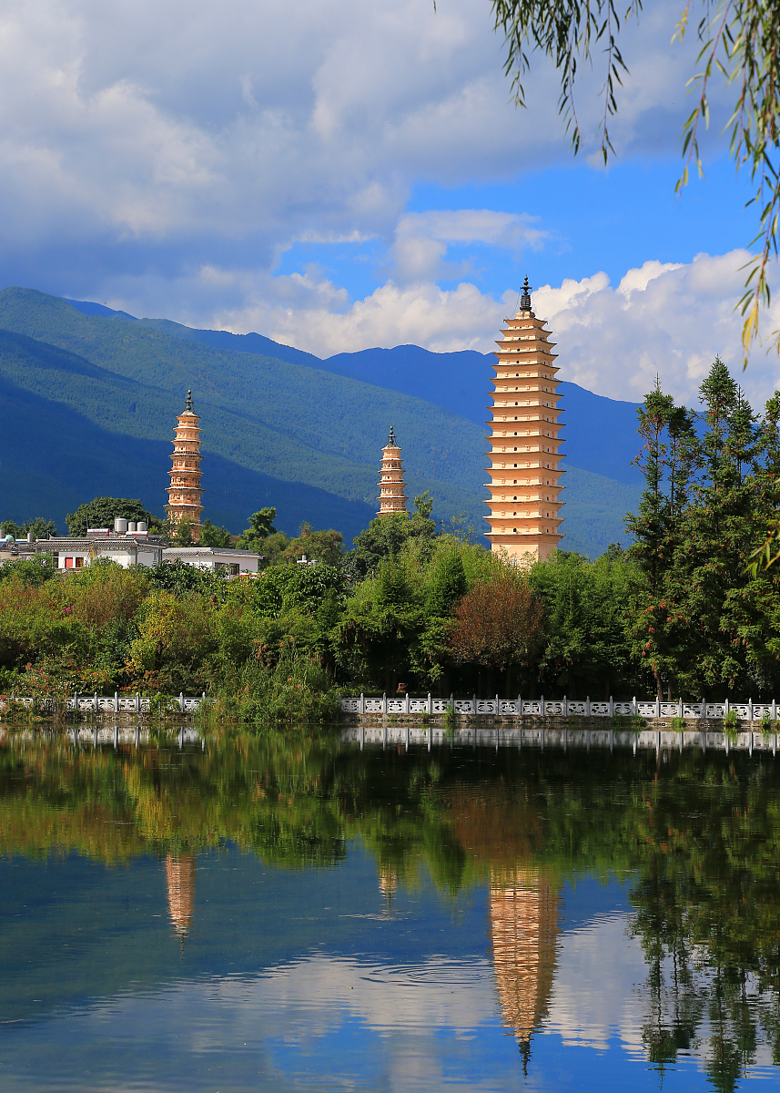 宾川县职业高级中学2019年报读须知 - 报名条件、流程及注意事项