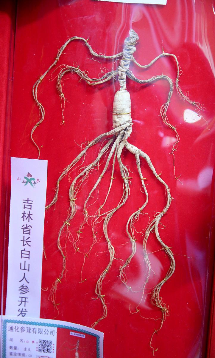 高丽参 vs 太极参：区别在哪？