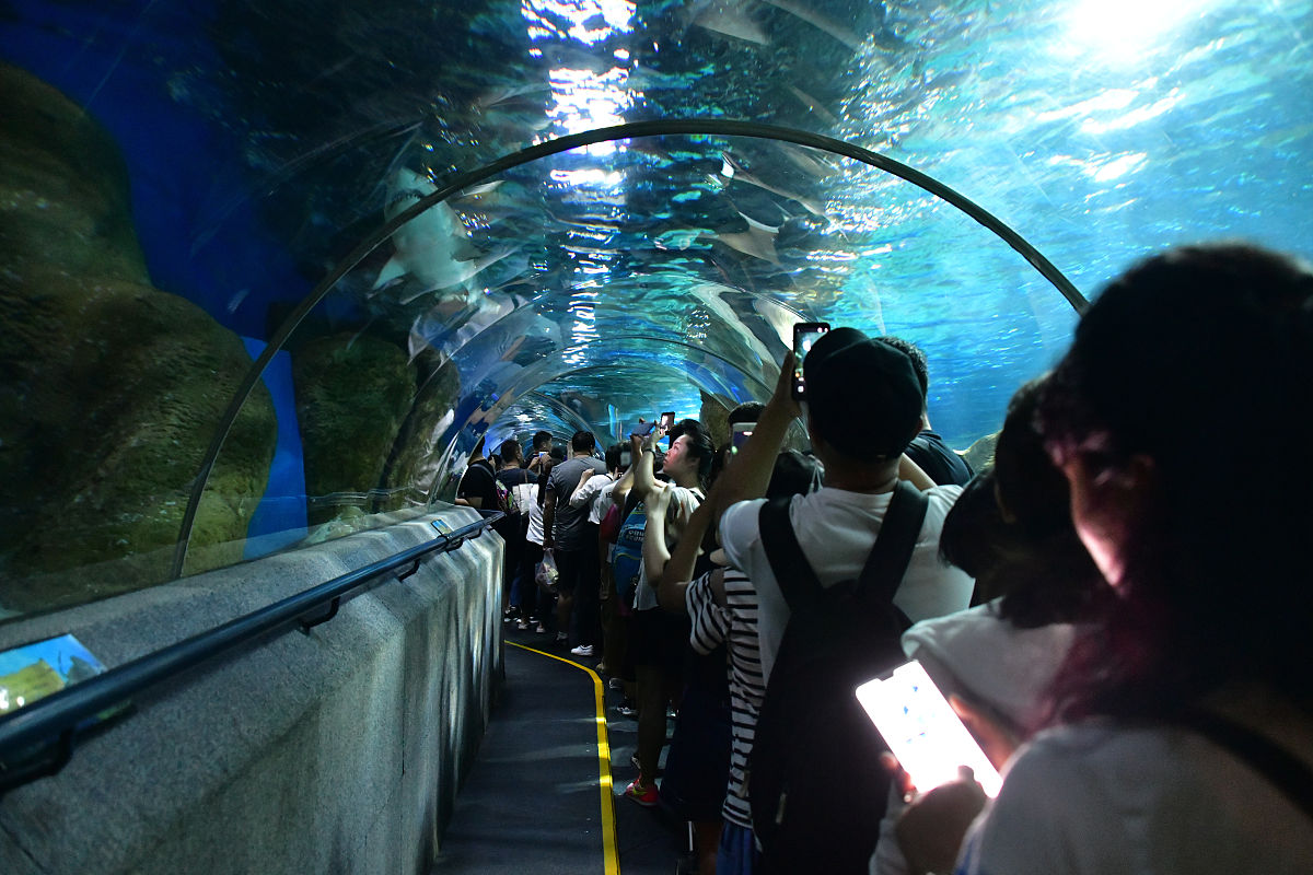 大连圣亚海洋馆介绍