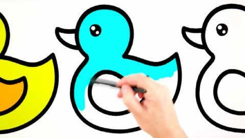 儿童卡通绘画 培养孩子的绘画兴趣 画小鸭子