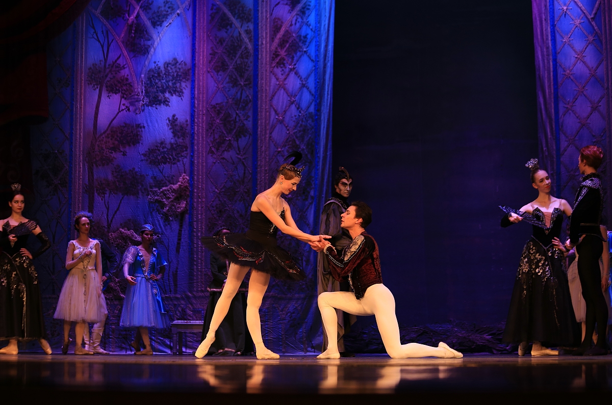 天鹅湖舞剧：音乐与舞蹈的完美结合