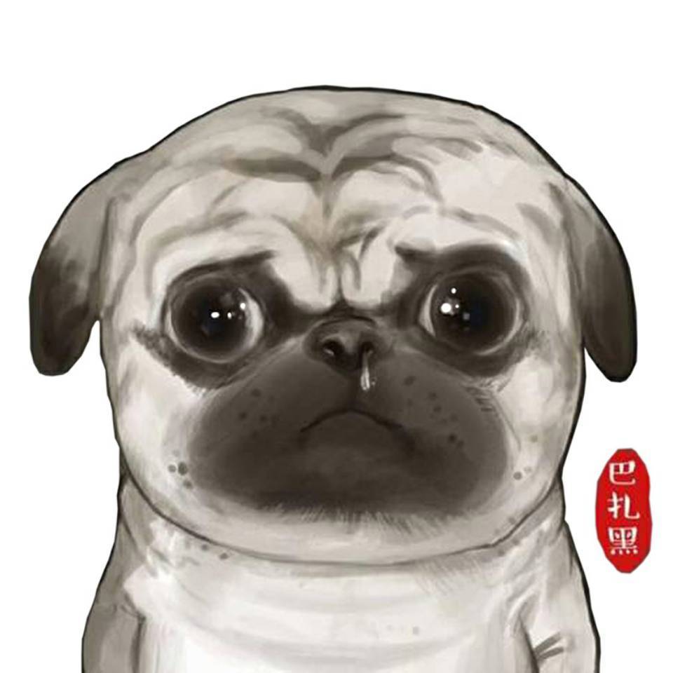 在家开拉力赛车--莱仕达V900方向盘评测