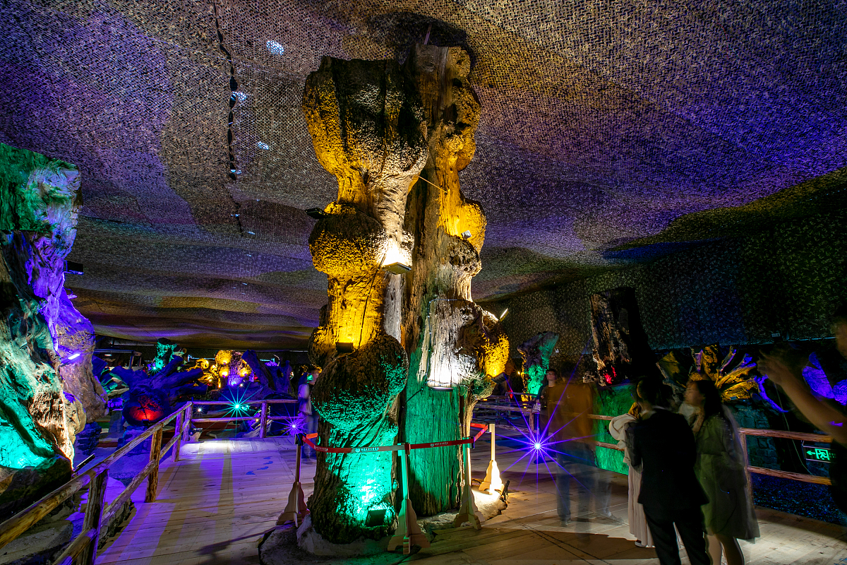 《风会记得一朵花的香》读后感：感恩与美好