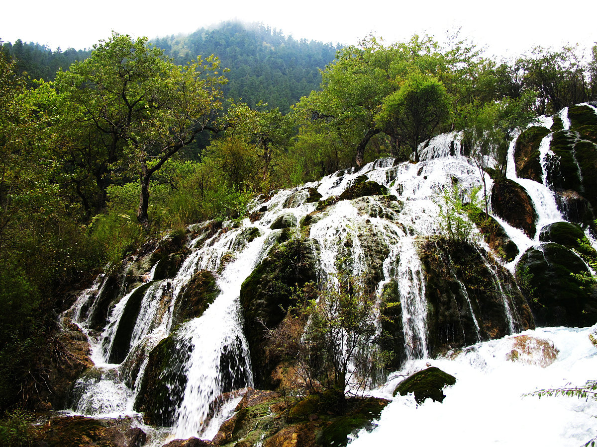 四川旅游专业中专中职学校推荐：学什么、怎么学？