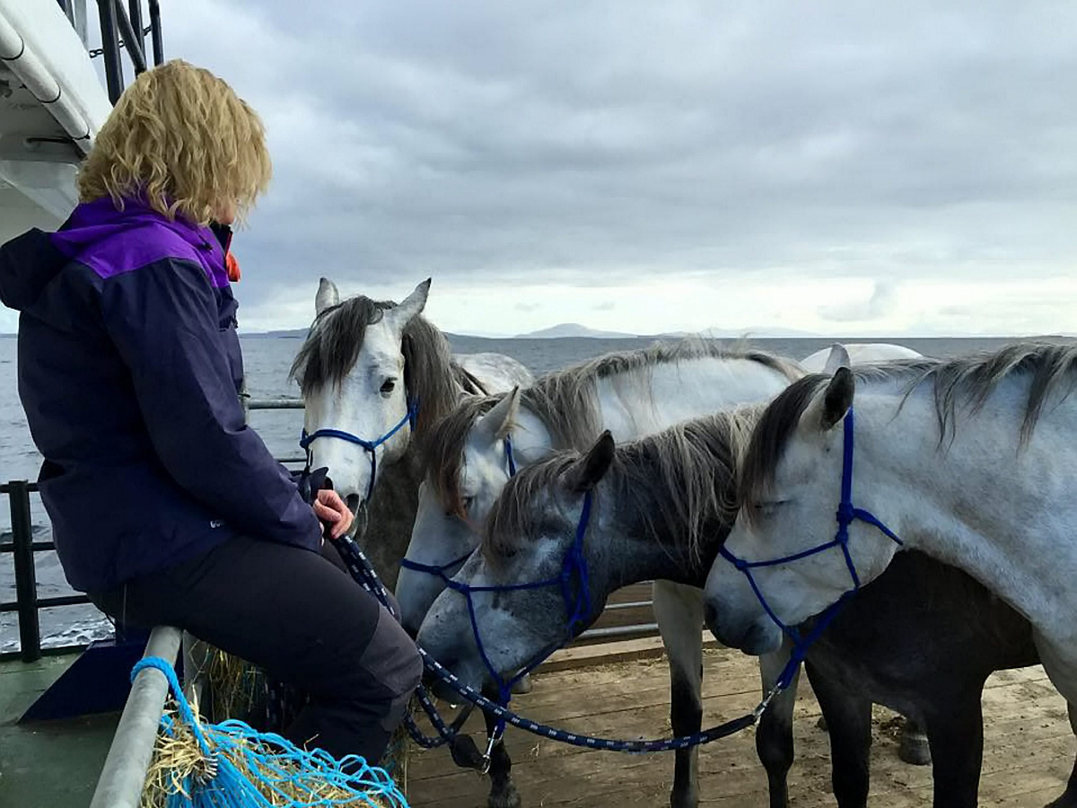滑动求生：全新生存模式震撼来袭！