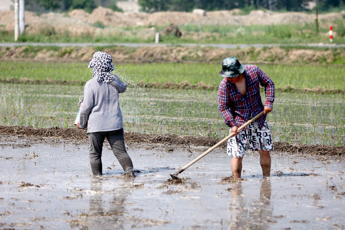 写一下 老吴 的故事给我