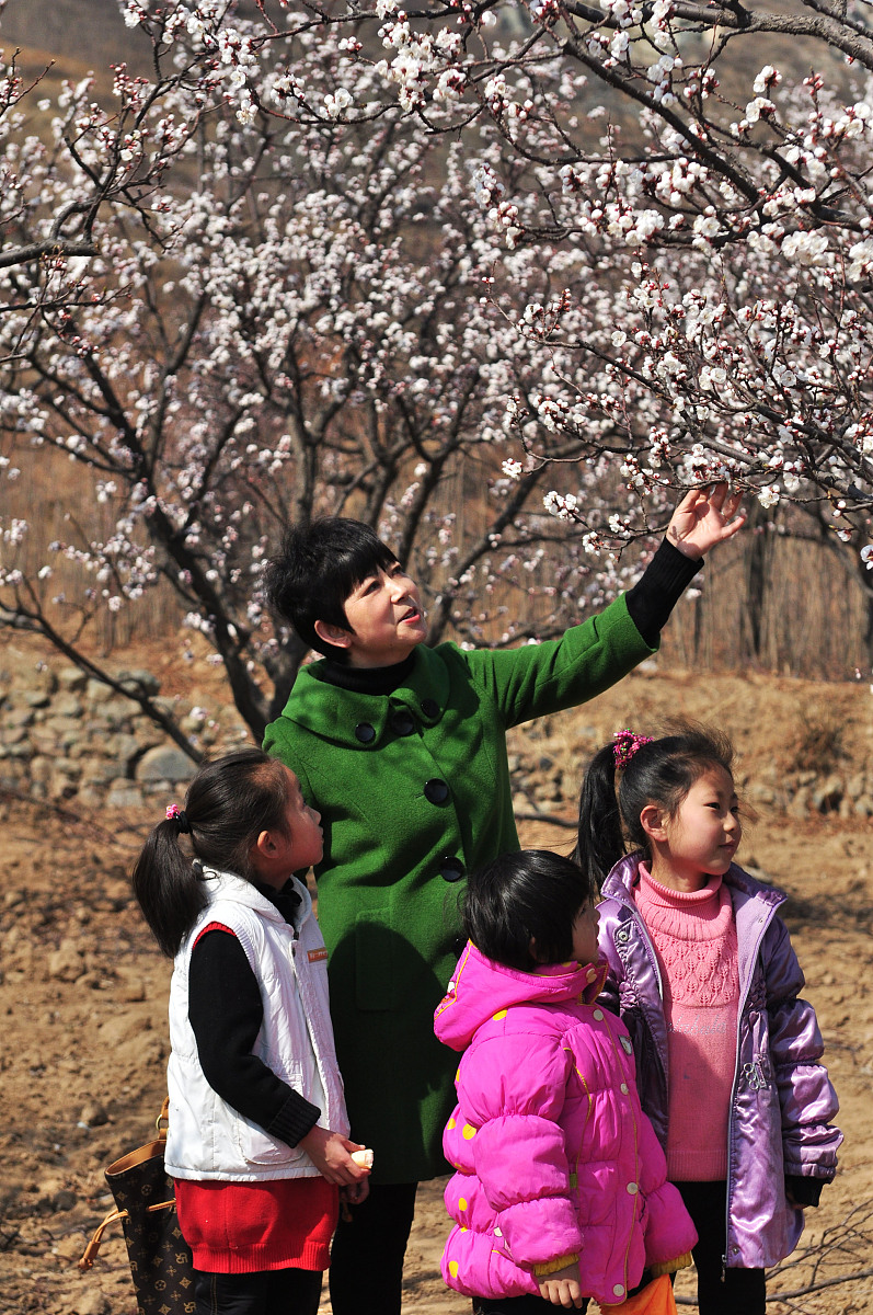 向往春天：300字小学作文