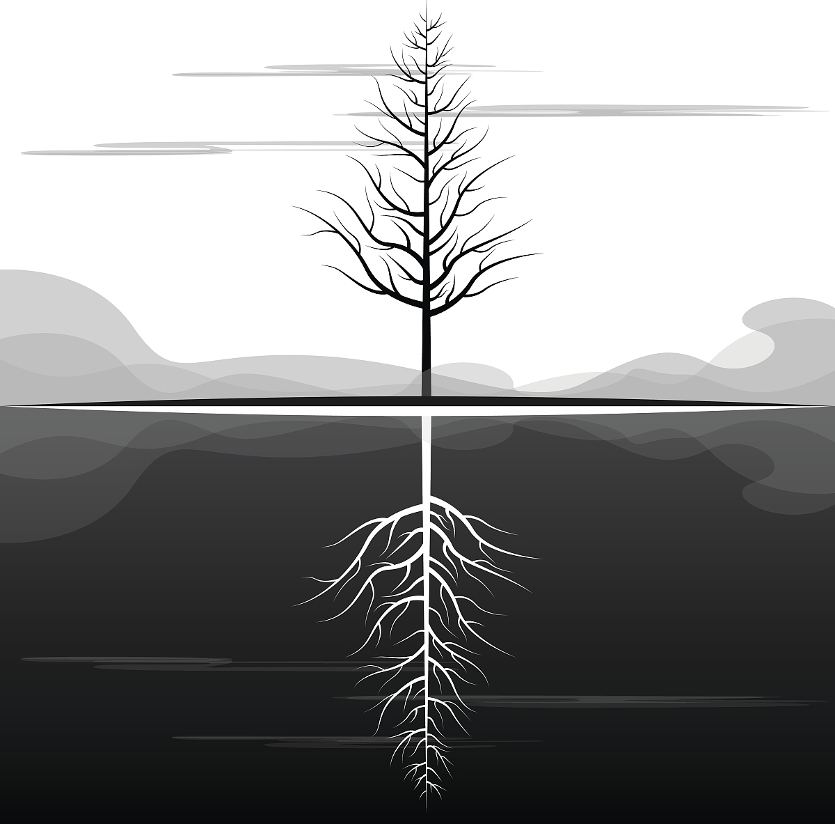 将下句话改写 因此植物形成了耐受性通过不同的变化来从外部结构到内部生理生化反应以及基因表达等方式来抵御和适应干旱逆境